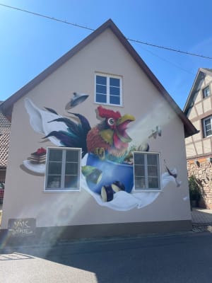Geudertheim et amour d'itinéraire le long d'une rivière - Laura - 7