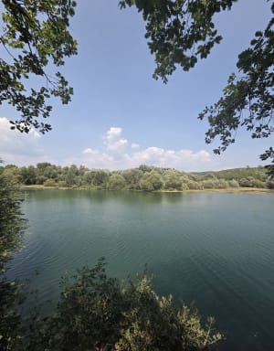 De natuur in volle gang in het hart van het biologische reservaat Fondurane - Montauroux - 2