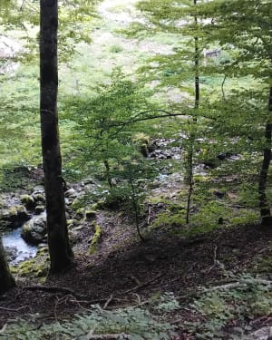 Seven Fountains Loop en prachtig panorama - Montmin - 6