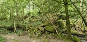 Promenade aux bords de l’Auzette - Panazol - 5
