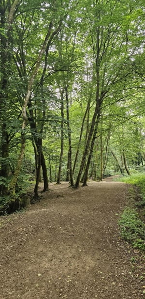 Promenade aux bords de l’Auzette - Panazol - 8