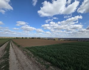 Boucle des Plaines autour de St-Leu-d'Esserent - Villers-Sous-Saint-Leu - 8