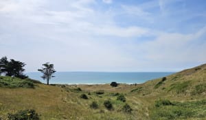 Les dunes d’Hattainville et la côte de Carteret - Barneville-Carteret - 6