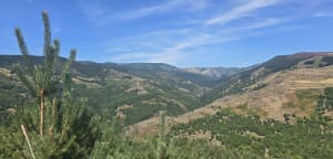 Escapade sur les crêtes d'Alzon - Prévenchères - 4