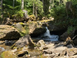 Tour du lac de Montriond et la jolie cascade d’Ardent - Montriond - 30