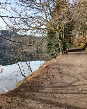 Lac Pavin aller retour - Besse-et-Saint-Anastaise - 8