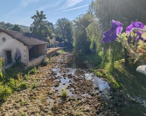 Sentier de la Colombière à Poncin - Poncin - 2