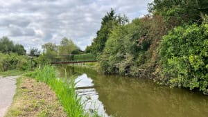 Libellule et Etangs du Romelaère - Nieurlet - 18