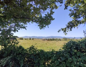 Balade dans la campagne de Saint-Andéol - Laure - 4