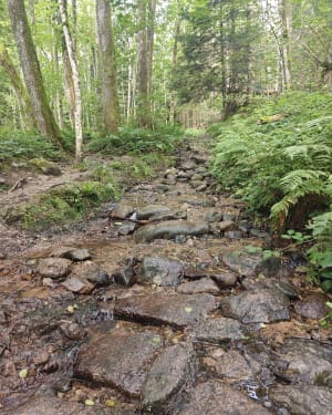 Rando aux lacs de Neuweiher - Rimbach-près-Masevaux - 12