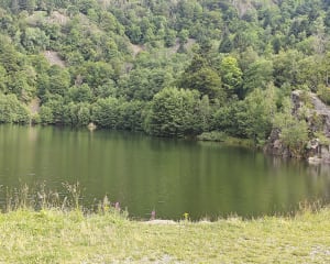 Rando aux lacs de Neuweiher - Rimbach-près-Masevaux - 16