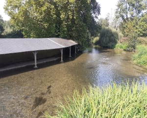 Sur les chemins échiréens, guidés par la Sèvre niortaise - Echiré - 5