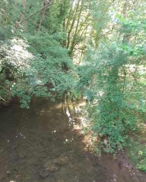 Sur les chemins échiréens, guidés par la Sèvre niortaise - Echiré - 6