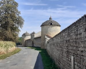Sur les chemins échiréens, guidés par la Sèvre niortaise - Echiré - 7