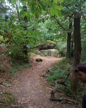 Sur le chemin des Mégalithes - Champis - 7