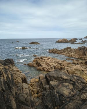 En terre et mer à Plougasnou - Plougasnou - 2