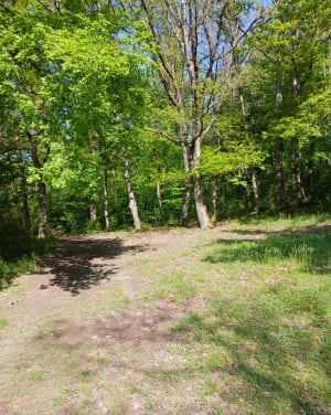 Autour du lac de Savères - Lautignac - 14