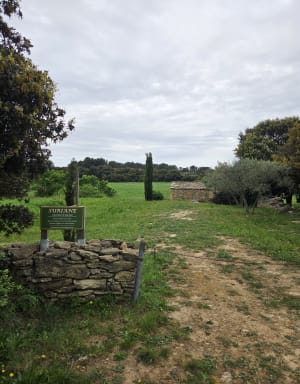 Petite boucle entre Grans et Cornillon - Grans - 6