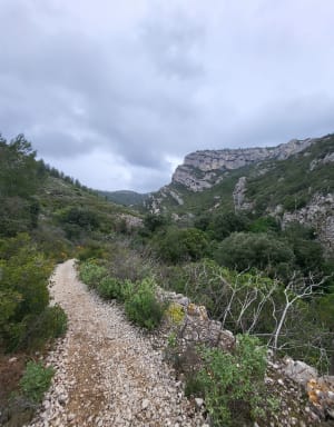 Gémenos et moment hors du temps dans la nature - Gémenos - 11