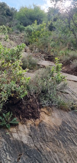 Grottes de la Montagne Noire et faits de Résistance - Trassanel - 8