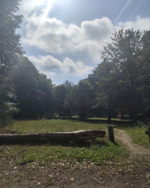 Balade dans le bois d'Aumont et ancienne voie ferrée - Rambouillet - 5