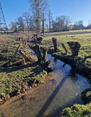 Flers entre ville et campagne, par la Rivière - BEATRICE - 3