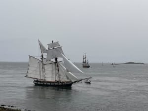 Tour de la pointe d’Arzon - Arzon - 29
