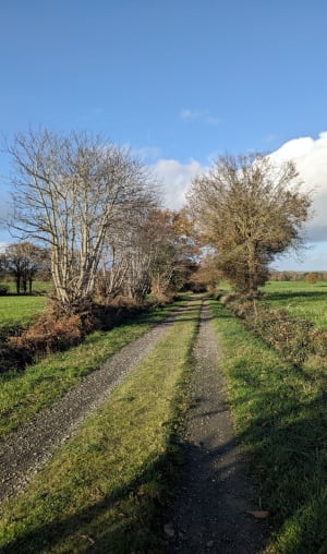Magie de la Roche aux Fées et balade en nature champêtre - Le-Theil-de-Bretagne - 10