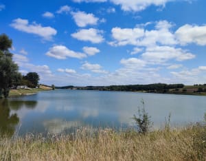 Tour du Lac du Laragou et petits habitants à plumes - Montpitol - 2