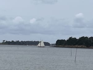 Tour de la pointe d’Arzon - Arzon - 33