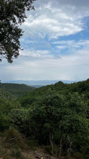 Rand des salamandres - Saint-Péray - 17