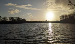 Magie de la Roche aux Fées et balade en nature champêtre - Le-Theil-de-Bretagne - 14