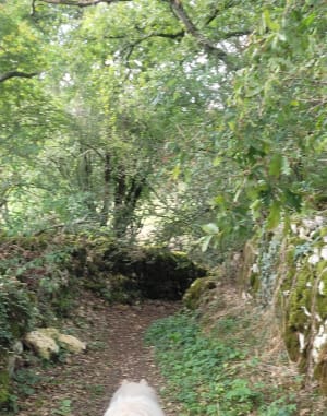 Val d'Angles et bords de rivière à Angles-sur-l'Anglin - Angles-sur-l'Anglin - 3
