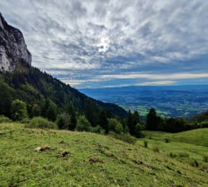Le Petit Montoir et Chalets des Chappeys - Fillière - 12