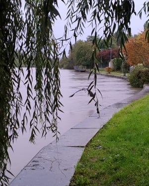 Le long des rives de Meurthe "Malzeville - Tomblaine" - Nancy - 11