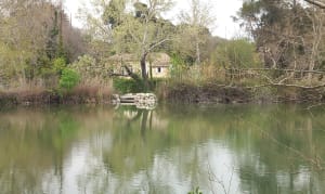 Balade autour de Grans depuis Mary-Rose - Grans - 6