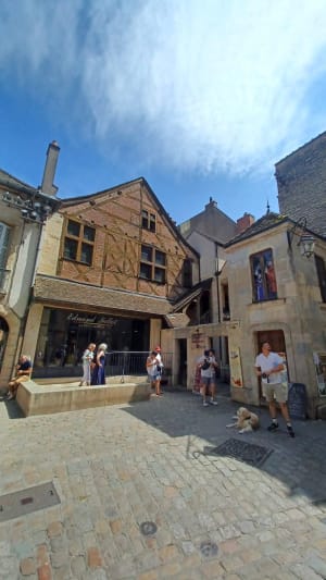 De reis van de uil in Dijon - Dijon - 13