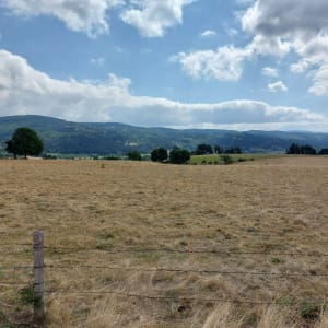 De la plaine au plateau autour de St Alban - Delphine - 7