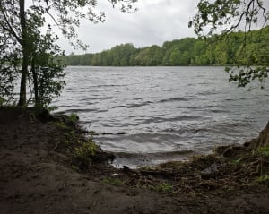 Dookoła Rusałki - Poznań - 3