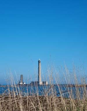 Balade de bord de mer de Barfleur à Gattevile-Phare - Barfleur - 20