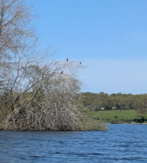 Flâner autour des Lacs de Haute Charente et rencontrer ses hôtes - Alexandra - 6