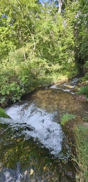 D'un lac à l'autre autour de Moustier-Sainte-Marie - Moustier-Sainte-Marie - 8