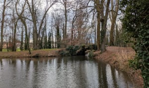 De Misérieux à Ars via le bois de Cibeins - Misérieux - 11