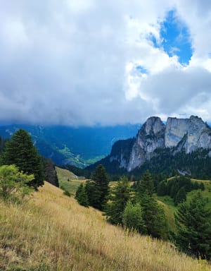 Grande Pointe des Journées et grande joie des sommets - Le Lavouet - 4