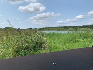 Bois des Cinq Tailles - Emilie - 43
