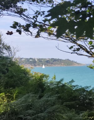 Pointe de Pordic à Binic - Pordic - 16