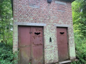 Bois des Cinq Tailles - Emilie - 45