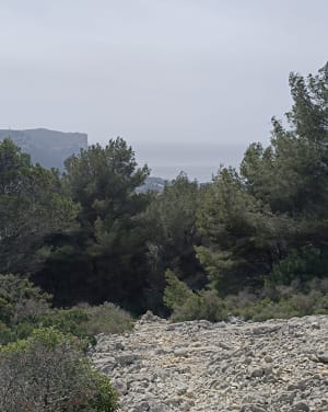 Mont Gibaou, Baou Redon et grotte des Janots - Cassis - 10