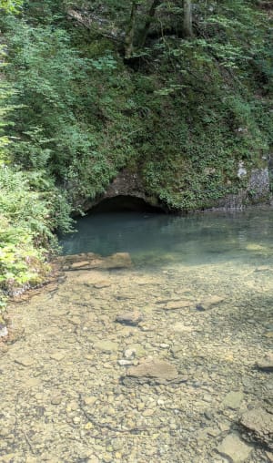 Source bleue et lac de Saint-Point - Malbuisson - 19