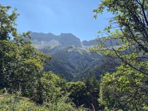 Boucle du Château Vert et rencontres au sommet - Gresse-en-Vercors - 4